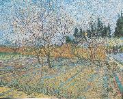 Vincent Van Gogh Flowering orchard with peach-trees oil painting on canvas